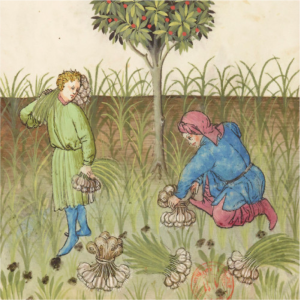 Scène au moyen-âge 